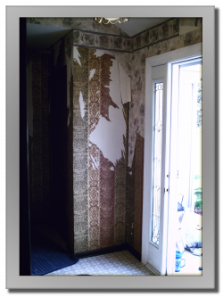 Atlas Coatings & Construction Wallpaper Stripping & Painting