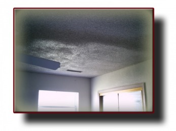 Atlas Coatings & Construction Insurance Ceiling Repair / Room Painted